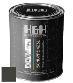 Глубокоматовая краска H&H SCHUPPE цвет RAL 6006 