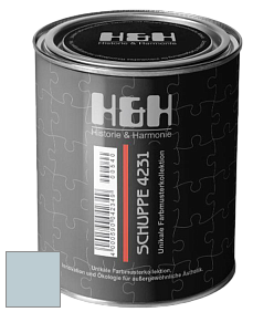 Глубокоматовая краска H&H SCHUPPE цвет NCS S 1510-B 
