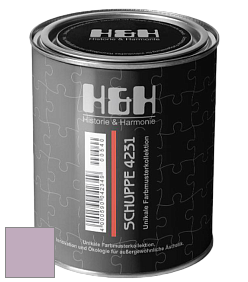 Глубокоматовая краска H&H SCHUPPE цвет NCS S 2020-R40B 
