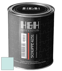 Глубокоматовая краска H&H SCHUPPE цвет NCS S 0515-B50G 