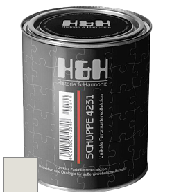 Глубокоматовая краска H&H SCHUPPE цвет DRF 3131 