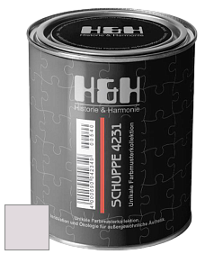 Глубокоматовая краска H&H SCHUPPE цвет NCS S 1005-R30B 