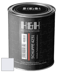 Глубокоматовая краска H&H SCHUPPE цвет NCS S 0505-R60B 