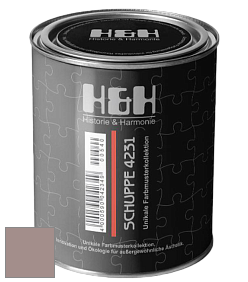 Глубокоматовая краска H&H SCHUPPE цвет NCS S 4010-Y90R 