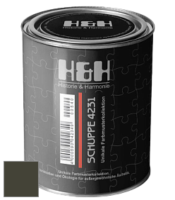 Глубокоматовая краска H&H SCHUPPE цвет RAL 6014 