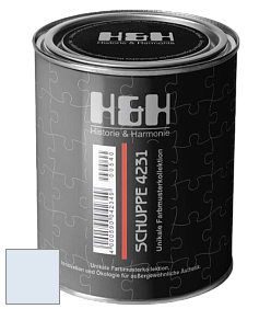 Глубокоматовая краска H&H SCHUPPE цвет NCS S 0507-R80B 