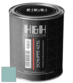 Глубокоматовая краска H&H SCHUPPE цвет NCS S 2020-B50G 