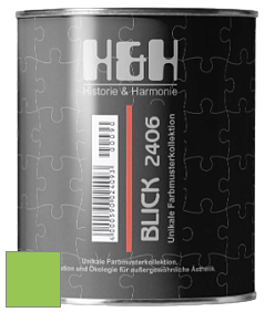 Глубокоматовая краска H&H Blick цвет NCS S 0570-G30Y 