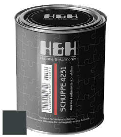 Глубокоматовая краска H&H SCHUPPE цвет NCS S 8505-B50G 