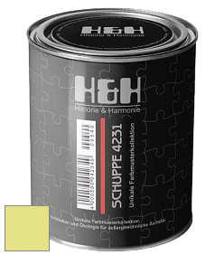 Глубокоматовая краска H&H SCHUPPE цвет NCS S 0540-G60Y 