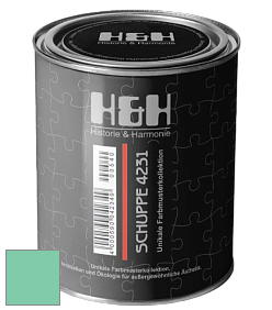 Глубокоматовая краска H&H SCHUPPE цвет DRF 1969 