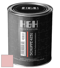 Глубокоматовая краска H&H SCHUPPE цвет NCS S 1020-R 