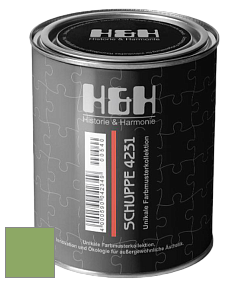 Глубокоматовая краска H&H SCHUPPE цвет NCS S 2050-G30Y 
