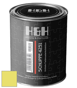 Глубокоматовая краска H&H SCHUPPE цвет NCS S 0550-G70Y 