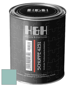 Глубокоматовая краска H&H SCHUPPE цвет NCS S 2020-B60G 