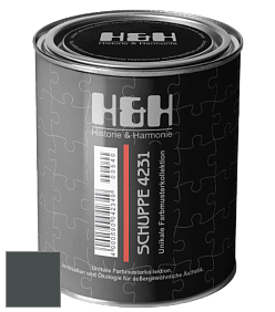 Глубокоматовая краска H&H SCHUPPE цвет NCS S 8005-B50G 