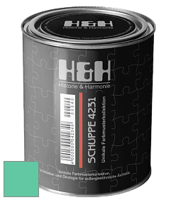Глубокоматовая краска H&H SCHUPPE цвет NCS S 1050-B90G 