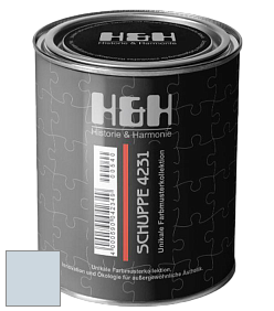 Глубокоматовая краска H&H SCHUPPE цвет NCS S 1010-R80B 