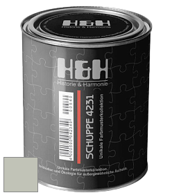 Глубокоматовая краска H&H SCHUPPE цвет NCS S 1555-R90B 