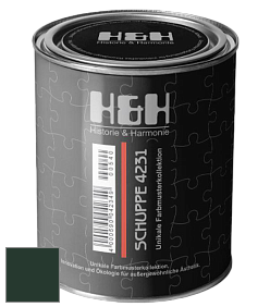 Глубокоматовая краска H&H SCHUPPE цвет RAL 6009 