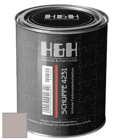 Глубокоматовая краска H&H SCHUPPE цвет NCS S 3005-Y80R 