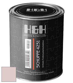 Глубокоматовая краска H&H SCHUPPE цвет NCS S 1010-R 