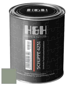 Глубокоматовая краска H&H SCHUPPE цвет NCS S 4010-G30Y 