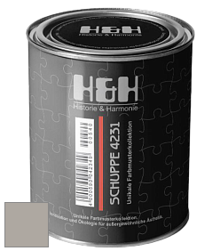 Глубокоматовая краска H&H SCHUPPE цвет DRF 9031 