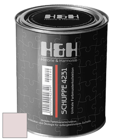 Глубокоматовая краска H&H SCHUPPE цвет NCS S 0907-R10B 