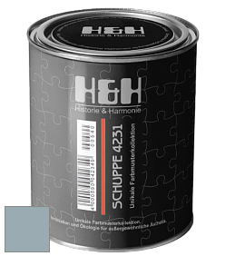 Глубокоматовая краска H&H SCHUPPE цвет NCS S 3010-B 