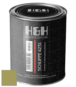Глубокоматовая краска H&H SCHUPPE цвет NCS S 3040-G60Y 