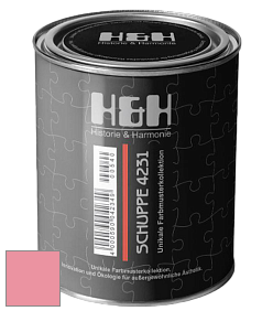 Глубокоматовая краска H&H SCHUPPE цвет NCS S 0550-R10B 