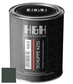 Глубокоматовая краска H&H SCHUPPE цвет NCS S 8010-G10Y 