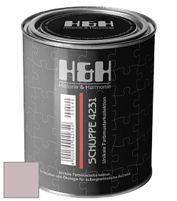 Глубокоматовая краска H&H SCHUPPE цвет NCS S 2010-R20B 