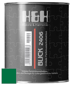 Глубокоматовая краска H&H Blick цвет RAL 6029 