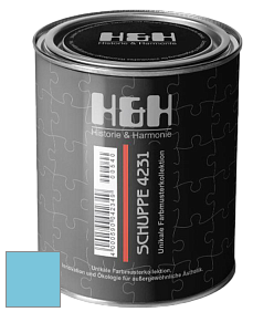 Глубокоматовая краска H&H SCHUPPE цвет DRF 2018 