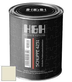 Глубокоматовая краска H&H SCHUPPE цвет RAL 1013 