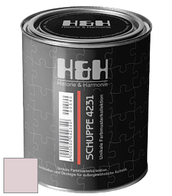 Глубокоматовая краска H&H SCHUPPE цвет NCS S 1010-R20B 