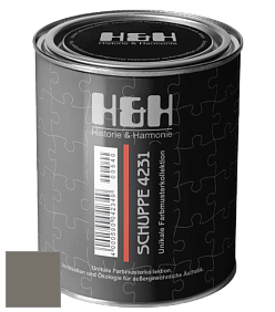 Глубокоматовая краска H&H SCHUPPE цвет DRF 9063 