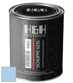 Глубокоматовая краска H&H SCHUPPE цвет NCS S 0530-R80B 