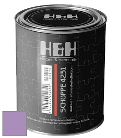 Глубокоматовая краска H&H SCHUPPE цвет NCS S 2040-R50B 