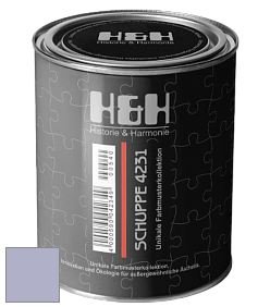 Глубокоматовая краска H&H SCHUPPE цвет NCS S 2020-R60B 