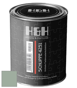 Глубокоматовая краска H&H SCHUPPE цвет NCS S 3010-G10Y 