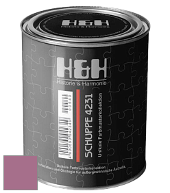 Глубокоматовая краска H&H SCHUPPE цвет NCS S 3040-R30B 