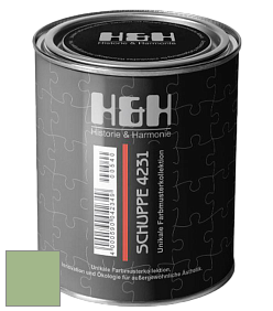 Глубокоматовая краска H&H SCHUPPE цвет NCS S 2030-G30Y 