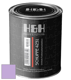 Глубокоматовая краска H&H SCHUPPE цвет NCS S 1040-R50B 