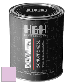 Глубокоматовая краска H&H SCHUPPE цвет NCS S 0530-R40B 