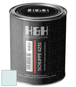 Глубокоматовая краска H&H SCHUPPE цвет NCS S 0510-B50G 