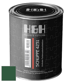 Глубокоматовая краска H&H SCHUPPE цвет NCS S 5540-G10Y 