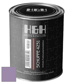 Глубокоматовая краска H&H SCHUPPE цвет NCS S 3030-R50B 
